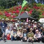 第39回 気楽に歩こう会(塩船観音寺のつつじ観賞と霞丘陵のトレッキング)実施報告