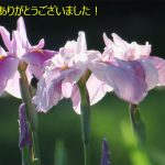 退任された役員のみなさんからのご挨拶