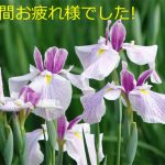 退任された役員のみなさんからのご挨拶