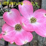 退任された役員のみなさんからのご挨拶
